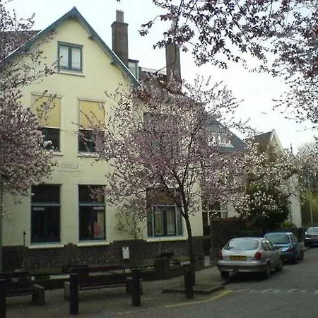 Villa Cornelia Bed & Breakfast-2